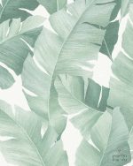 טפט עלי בננה יוקרתי עם טקסטורה, גווני ירוק, ירוק קקטוס על רקע שמנת