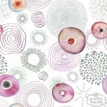 תמונת טפט, פרחי ספירלה צבעונים על רקע לבן שמנת – תמונה 2