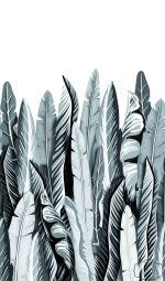 טפט תמונה עלי בננה בגווני אפור שחור לבן