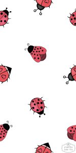 תמונת טפט, חיפושיות על רקע לבן – תמונה 2