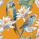 תמונת טפט, תוכי על רקע כתום