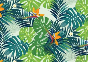 תמונת טפט, ציפור גן עדן על רקע ירקרק