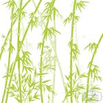 תמונת טפט, קני סוף במבוק ירוק על שמנת – תמונה 2