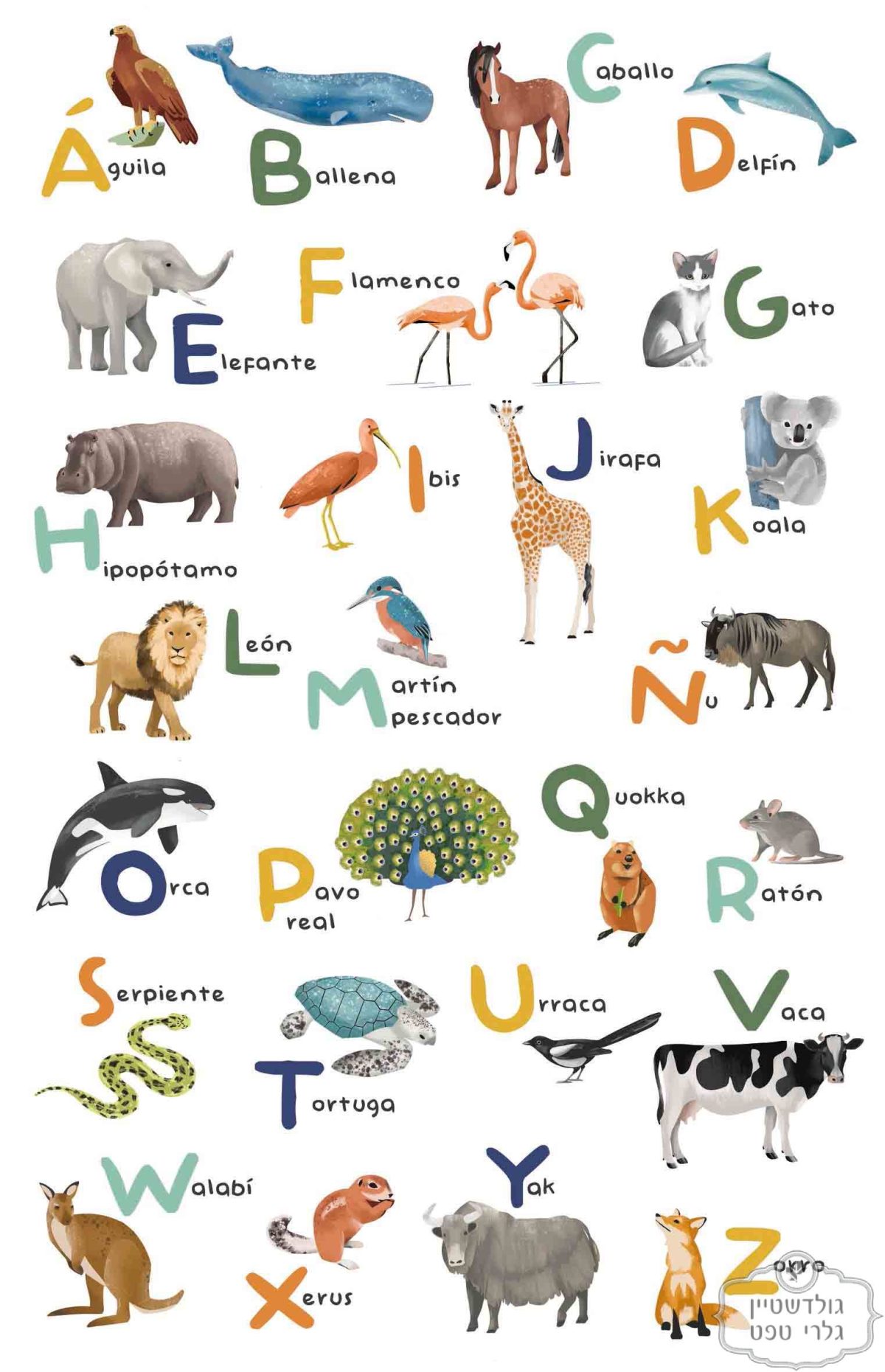 ⁦טפט תמונה ABC חיות⁩ – תמונה ⁦2⁩