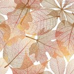 ⁦תמונת טפט, עלים גדולים בגווני שלכת⁩ – תמונה ⁦2⁩